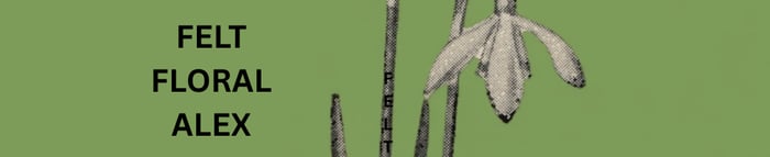 Feltfloralalex