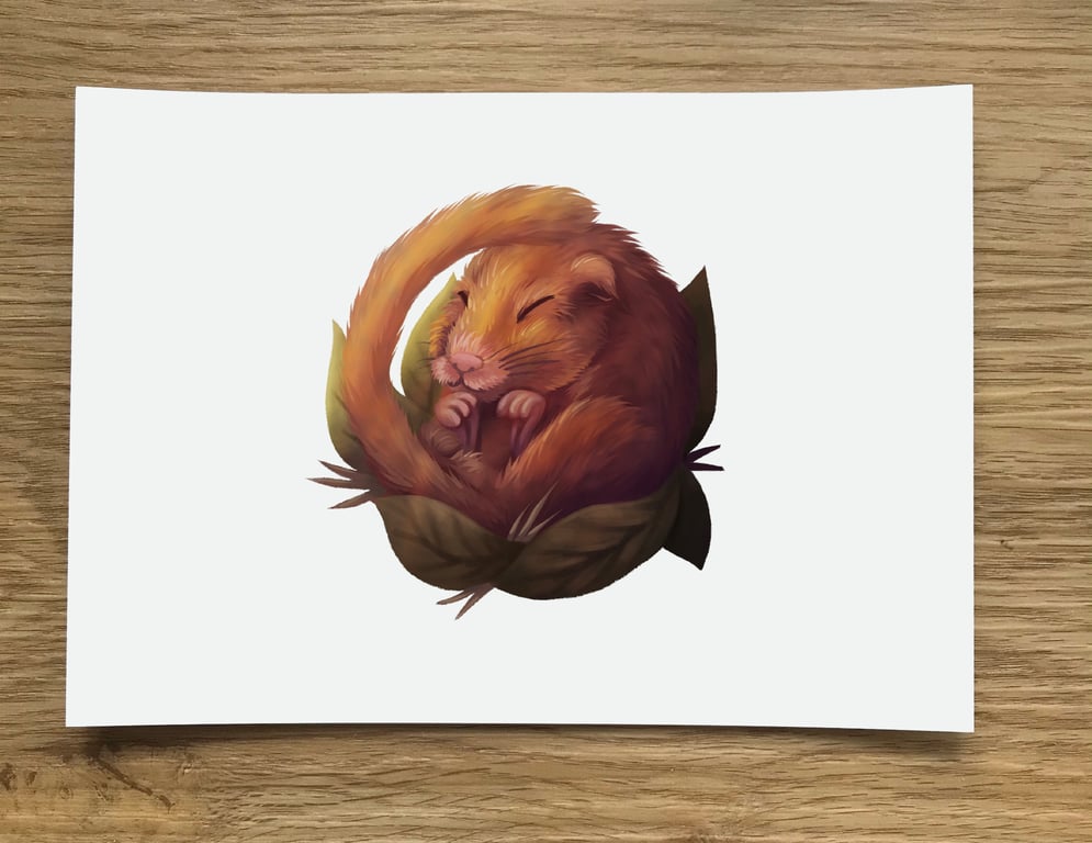 A6 Dormouse Post Card (White Background)