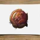 A6 Dormouse Post Card (White Background)