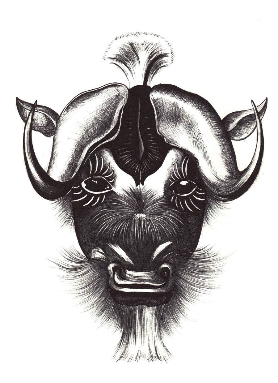 Buffalo Sticker