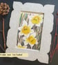 Yellow and white daffodils original drawing, small floral artwork, art - Image 8