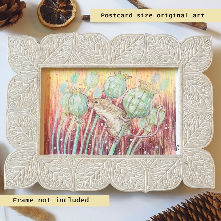 Harvest Mouse on a Poppy Seed Head, original drawing, small wall art