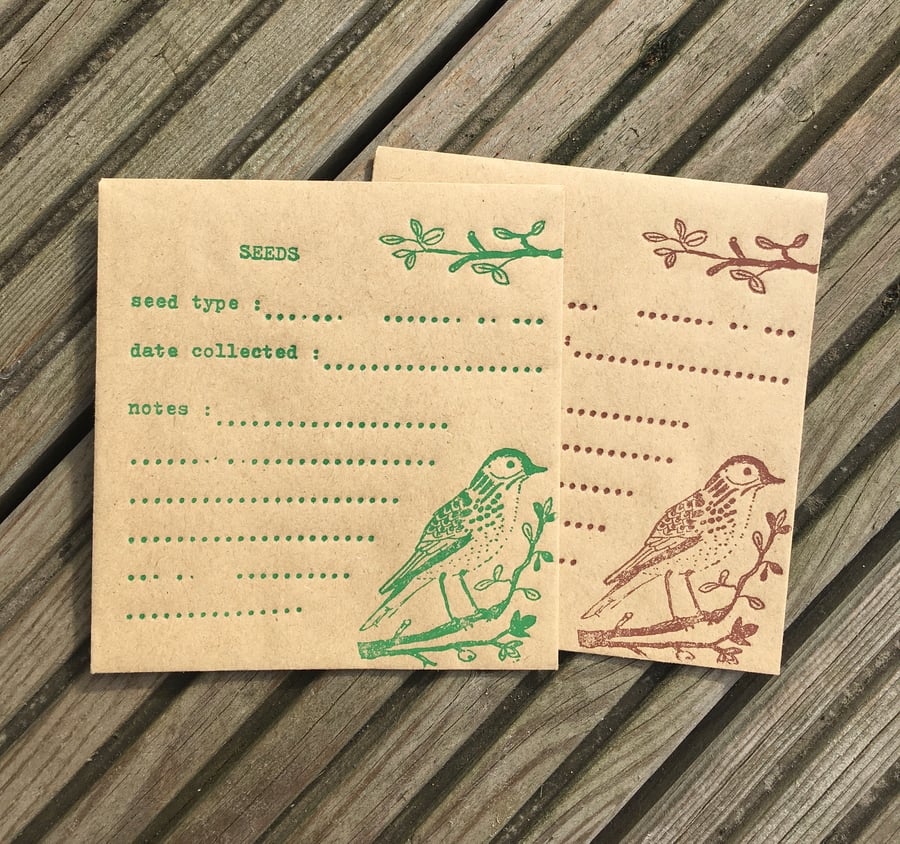 Seed Storage Envelope x 6