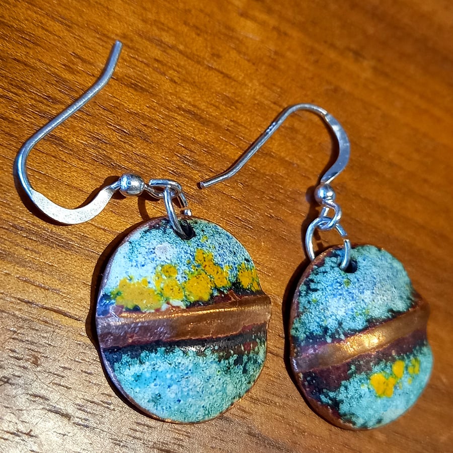Lichen & Copper earrings