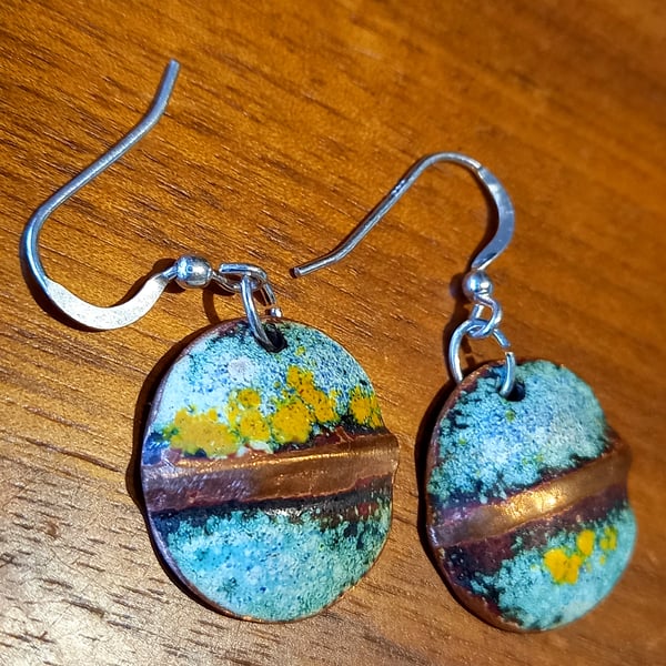 Lichen & Copper earrings