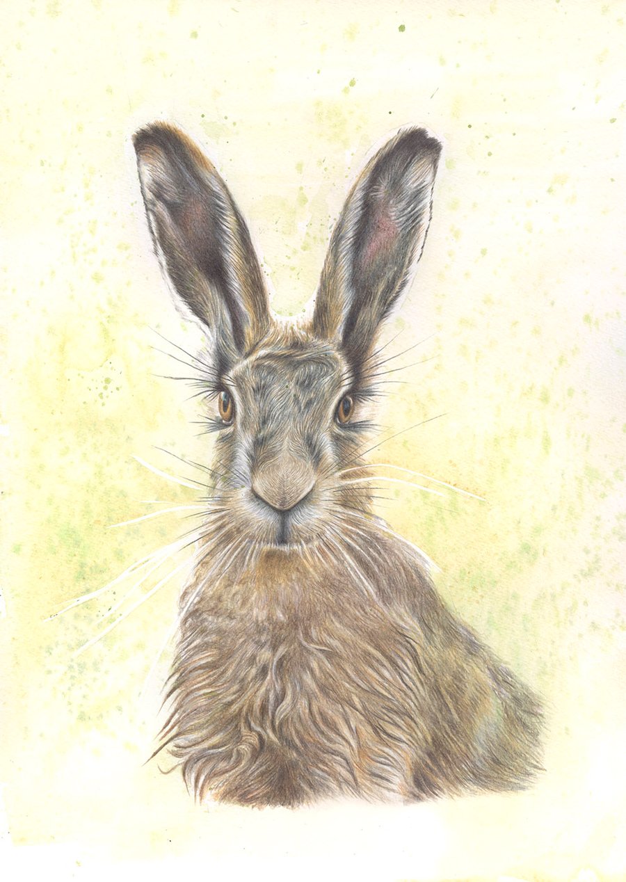 A5 Hare Print