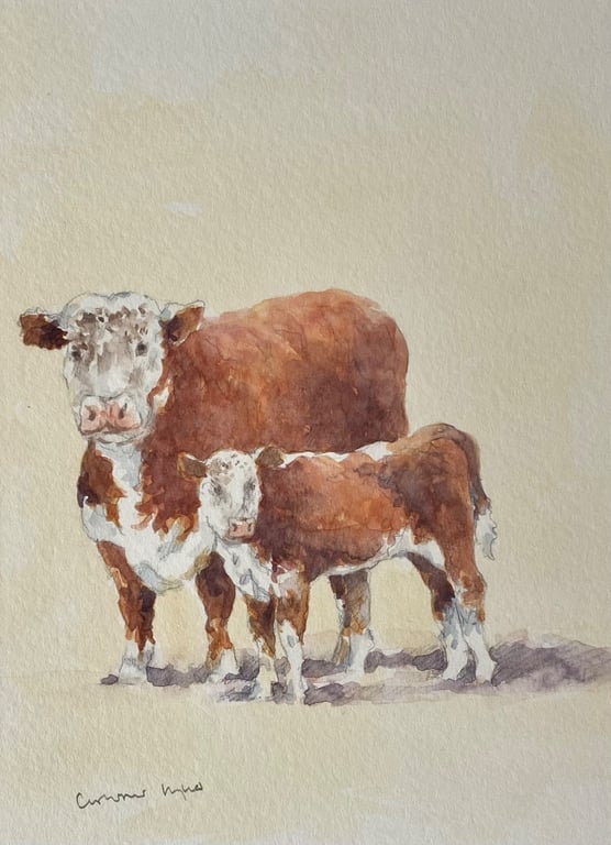 Herefords . Original watercolour painting by former Royal Worcester Artist 