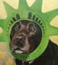 Custom Pet Portrait Original Oil Painting on Canvas Panel 20x20cm DavidNicolArt - Image 2