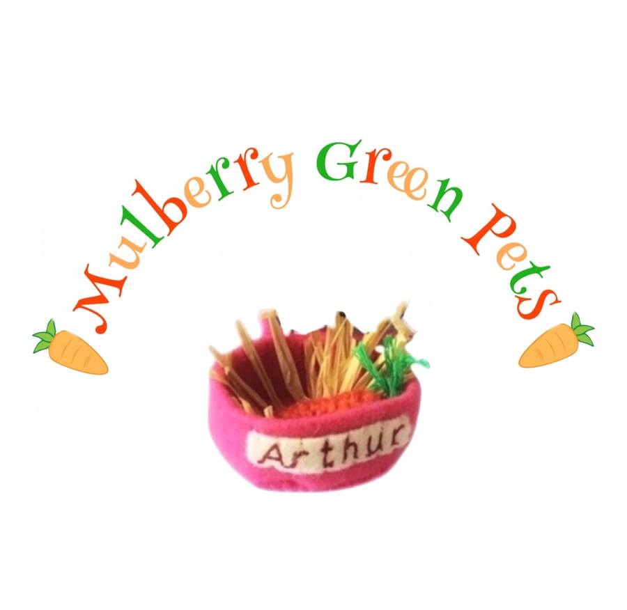 Food Bowl for Arthur