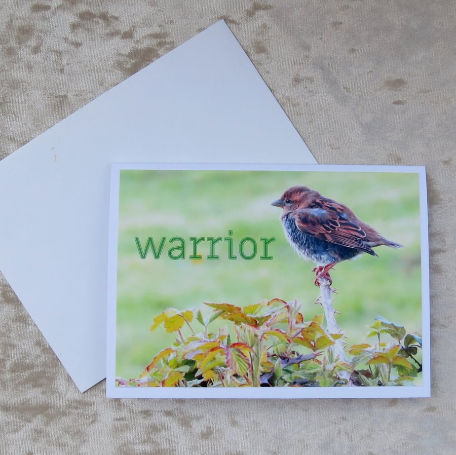 Warrior.  Cancer card.  Blank inside for your own message.