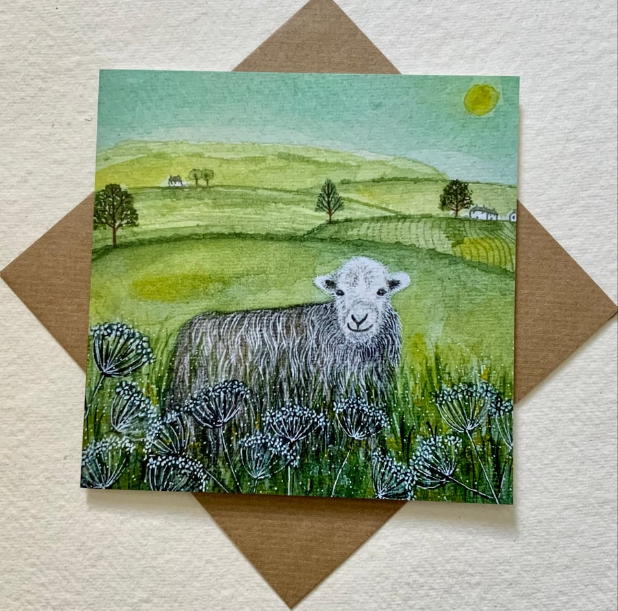 Herdwick Sheep, blank greetings card
