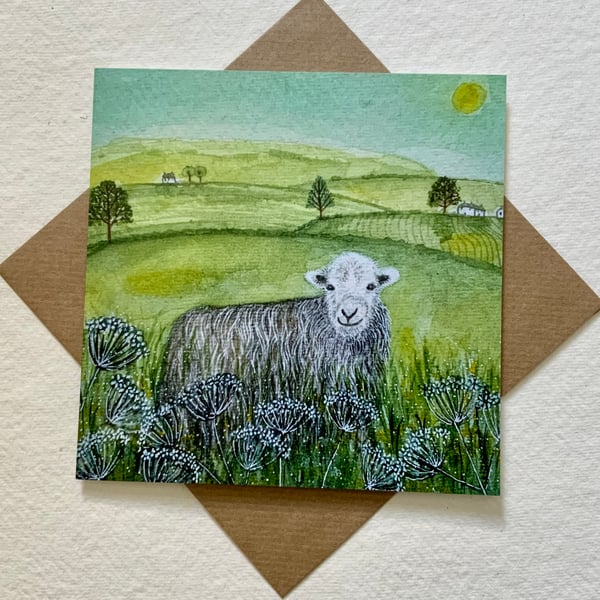 Herdwick Sheep, blank greetings card