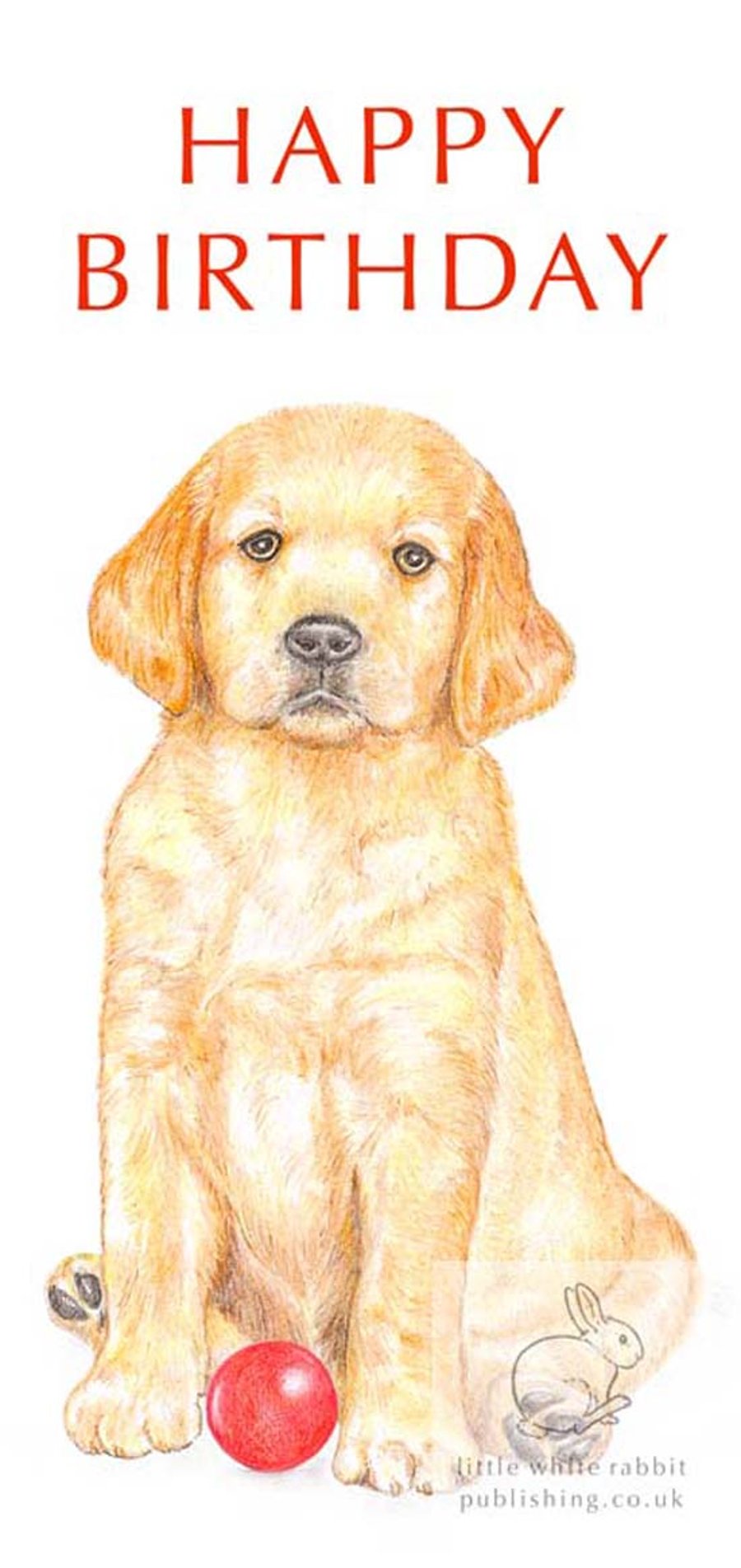 Dexter the Golden Retriever Puppy - Birthday Card