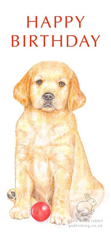 Dexter the Golden Retriever Puppy - Birthday Card