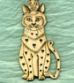 Cat and mouse