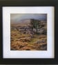 Framed Photographic Greetings Card - Great Nodden, Dartmoor National Park