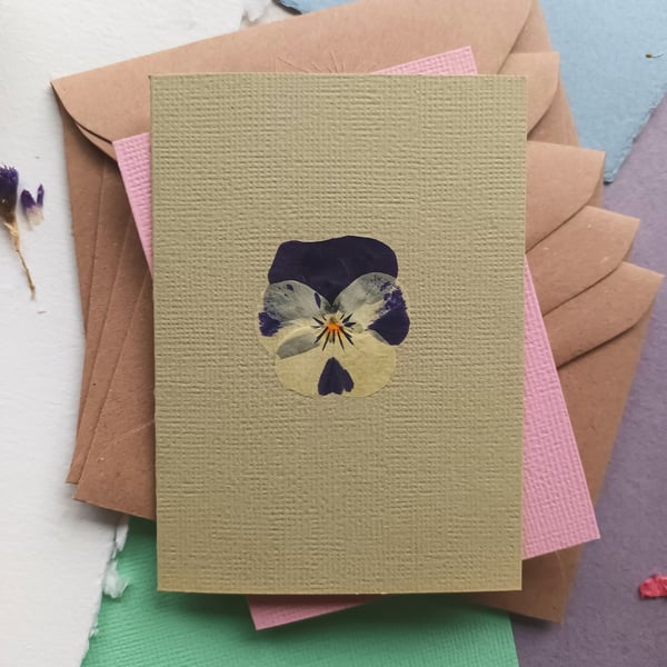 Real Pressed Viola Flower Greeting Card. Congratulations, Thank you, Birthday
