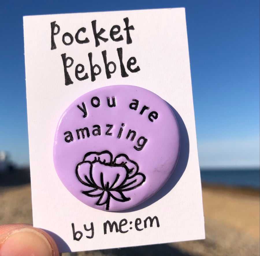 You Are Amazing Pocket Pebble