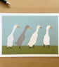 Runner ducks - art print - pets - Image 2