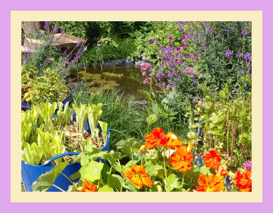 Around The Pond Norfolk Greeting Card A5 