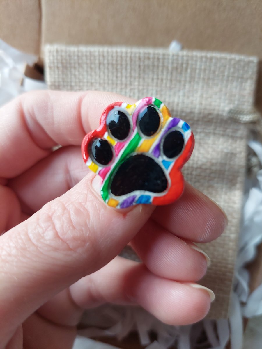 Pet loss rainbow bridge oin badge. Paw print brooch.