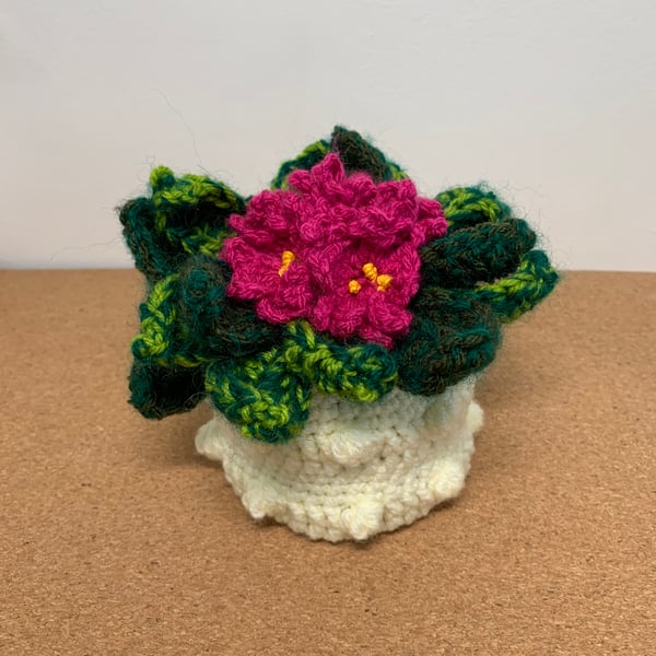 Crochet, houseplant, primula. Gifts