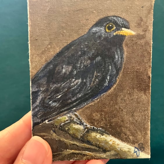 ACEO blackbird on a branch original miniature painting 