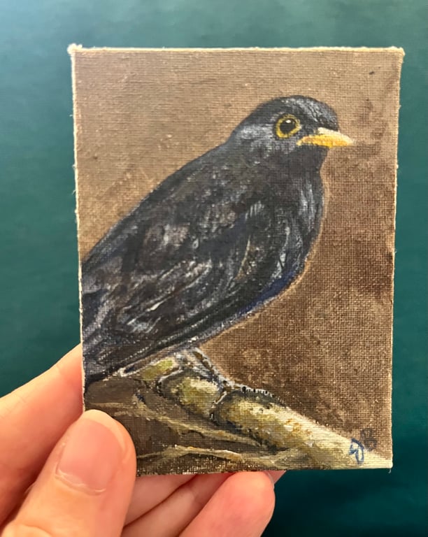 ACEO blackbird on a branch original miniature painting 
