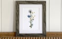 10" x 8" Framed Prints