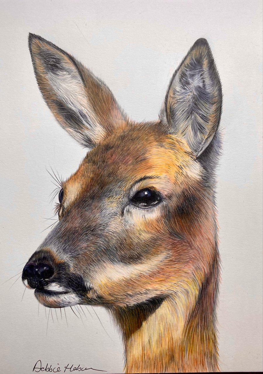 “In the Morning Mist” Roe Deer, blank greetings card  