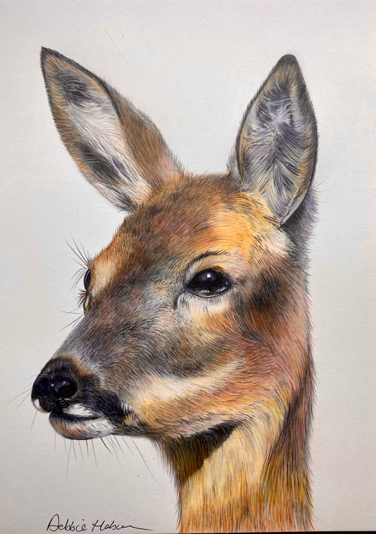 “In the Morning Mist” Roe Deer, blank card or mini print to frame. 