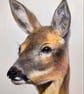 “In the Morning Mist” Roe Deer, blank greetings card  