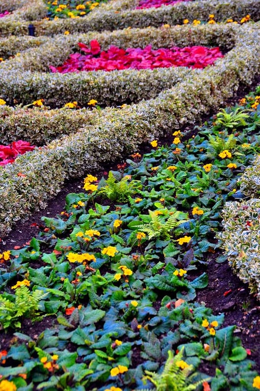 Regent's Park Gardens London England UK Photograph Print