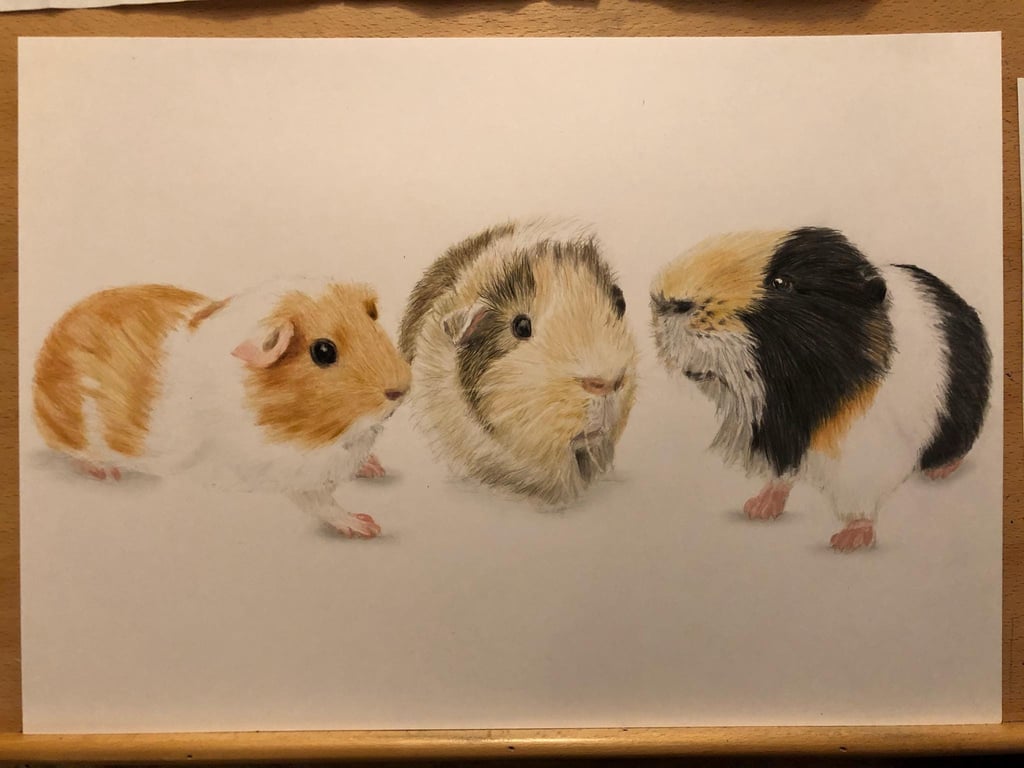 A3 Custom pet portrait for three pets made with coloured pencil