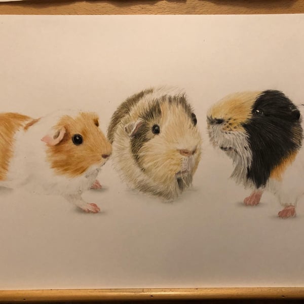 A3 Custom pet portrait for three pets made with coloured pencil