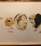 A3 Custom pet portrait for three pets made with coloured pencil - Image 1