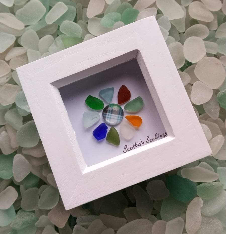 Colourful Scottish Sea Glass Daisy Framed Picture