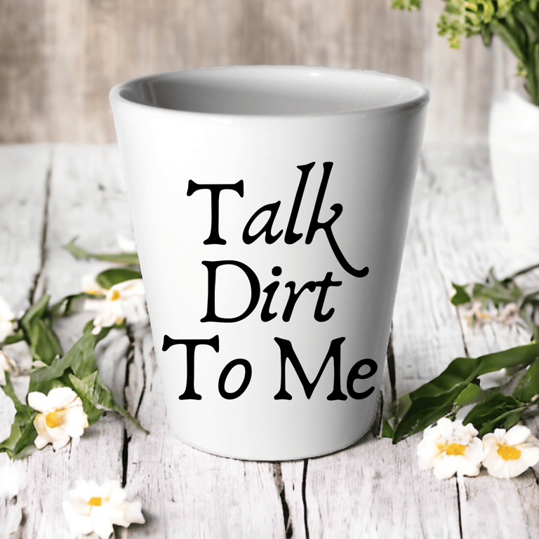 Talk Dirt To Me Funny Plant Pot -Succulent Cactus Flower Pot 