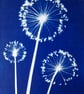 Three Alliums Cyanotype Card