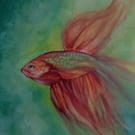 Gold Fish Watercolour