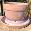 Wheel Thrown Planter with Attached Tray