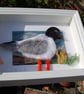Needle felted Little Gull picture  - Image 5