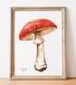Fly Agaric A5 Inkjet Print - Image 1