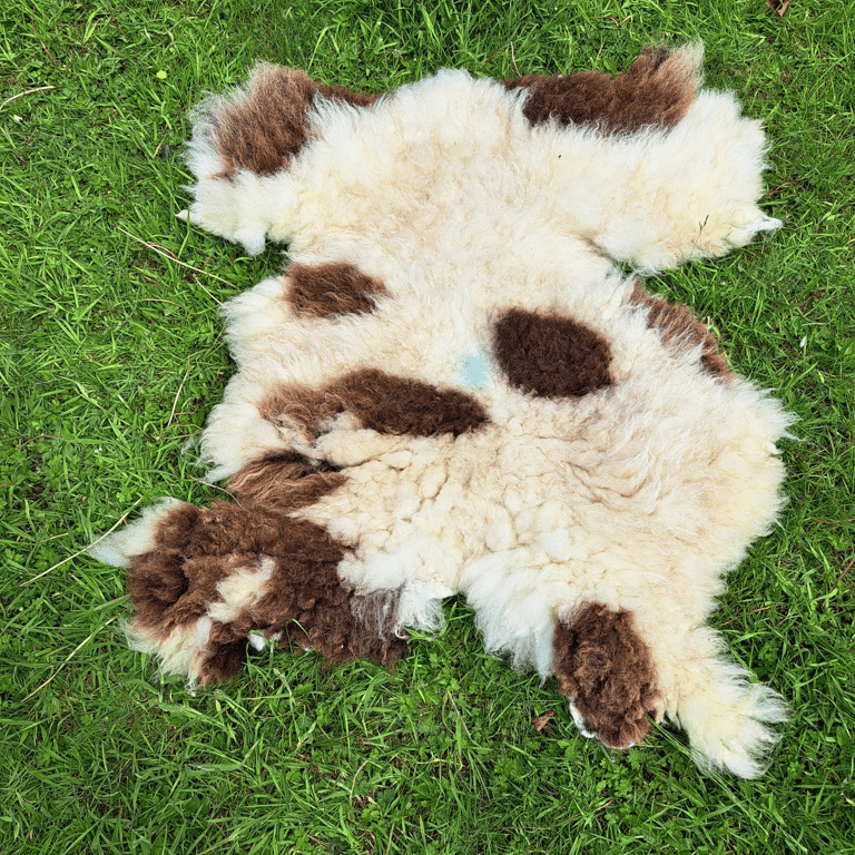 Pure Jacob wool rug sheep friendly Hand-Felted with soap and water 