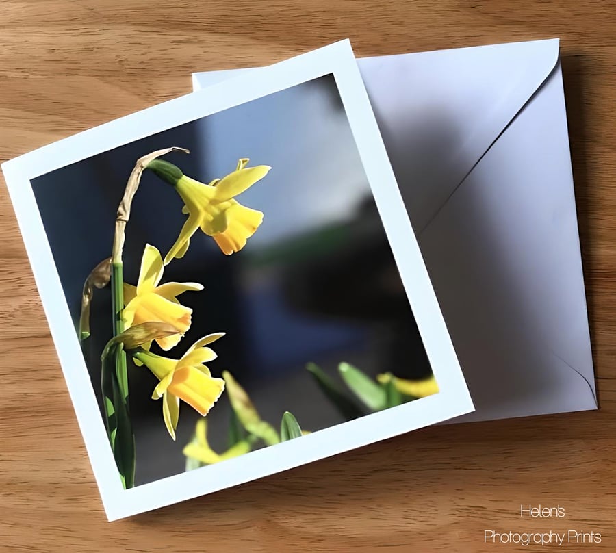 Sunny Daffodils Greetings Card, Flower Photography, Blank Inside, Square Card