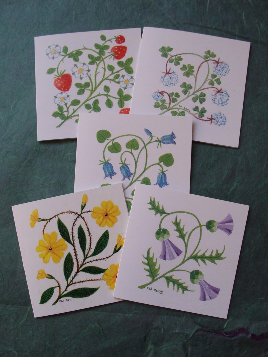 Flower cards Thistle Strawberry Primrose Clover Bluebell cards