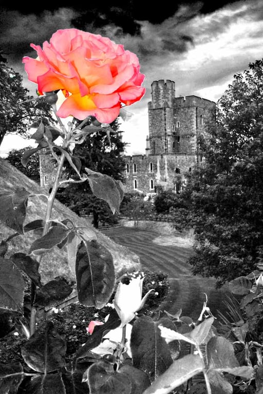 Windsor Castle Gardens Berkshire England Photograph Print