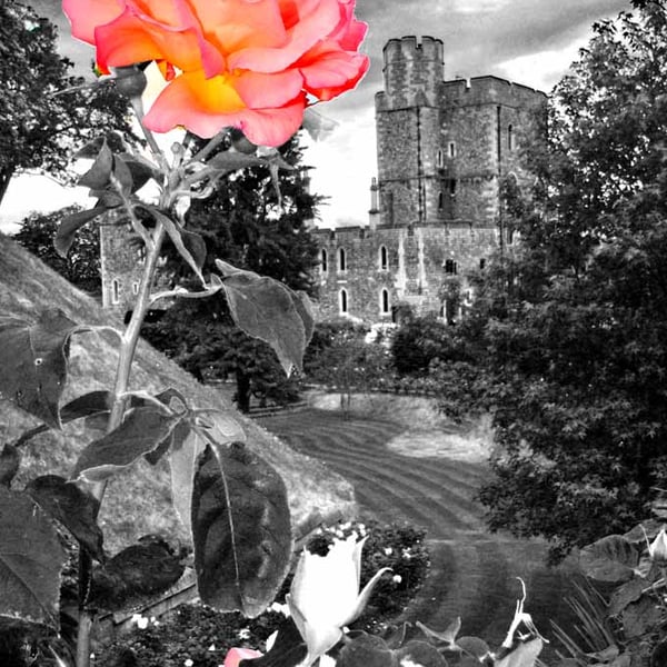 Windsor Castle Gardens Berkshire England Photograph Print