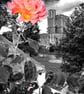 Windsor Castle Gardens Berkshire England Photograph Print