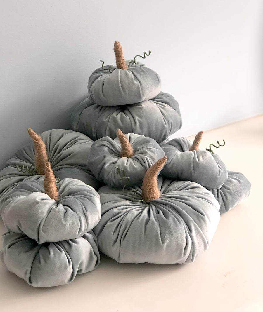 Slate Velvet Pumpkin